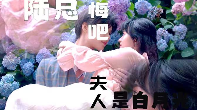 陸總懺悔吧，夫人才是白月光(全集)