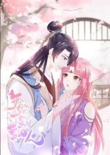 狐妃，別惹火