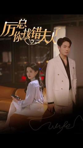 厲總，你找錯夫人了(全集)