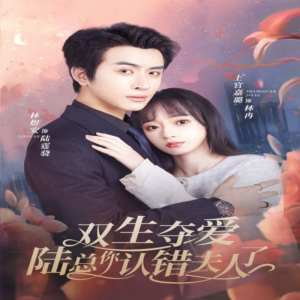 雙生奪愛陸總你認錯夫人了(全集)