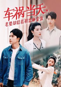 車(chē)禍當(dāng)天老婆卻陪著初戀砸金蛋(全集)