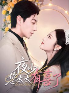 夜少，您太太有喜了(全集)