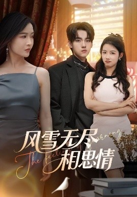 風(fēng)雪無盡相思情(全集)