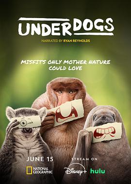 失敗者2025(全集)