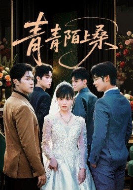 青青陌上桑(全集)