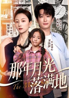 那年月光落滿(mǎn)地(全集)