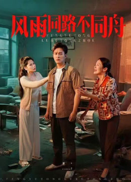 風(fēng)雨同路不同舟(全集)