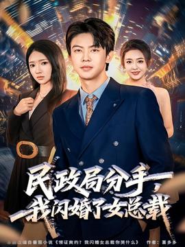 民政局分手，我閃婚了女總裁(全集)