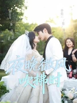 夜晚微風(fēng)吹拂時(全集)