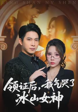 領證后，我氣哭了冰山女神(全集)