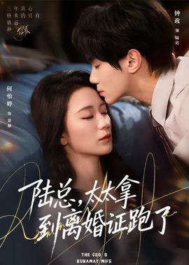 陸總，太太拿到離婚證跑了(全集)