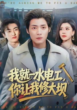 我就一水電工，你讓我修大壩(全集)