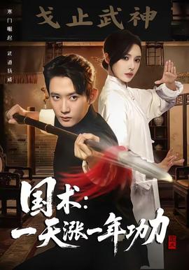 國術(shù)，一天漲一年功力(全集)