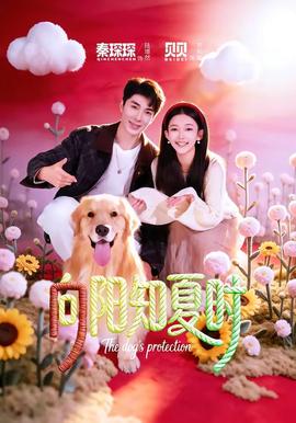 向陽知夏時(shí)(全集)