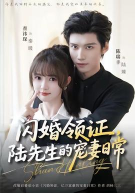 閃婚領(lǐng)證，陸先生的寵妻日常(全集)